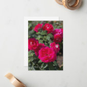 Carte De Correspondance Pinkish, Roses rouges (Devant/Arrière en situation)