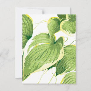 Carte De Correspondance Plante de ficus 2