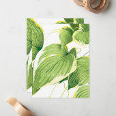 Carte De Correspondance Plante de ficus 2 (Devant/Arrière en situation)