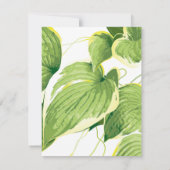 Carte De Correspondance Plante de ficus 2 (Dos)