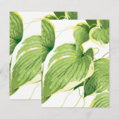 Carte De Correspondance Plante de ficus 2 (Devant / Derrière)