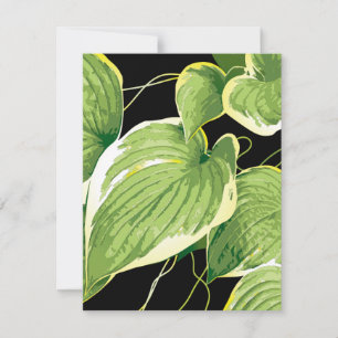 Carte De Correspondance Plante de ficus 3