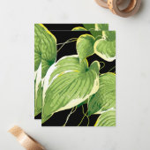 Carte De Correspondance Plante de ficus 3 (Devant/Arrière en situation)