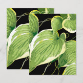 Carte De Correspondance Plante de ficus 3 (Devant / Derrière)