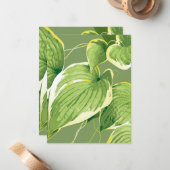 Carte De Correspondance Plante de ficus 5 (Devant/Arrière en situation)