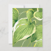 Carte De Correspondance Plante de ficus 5 (Dos)