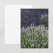 Carte De Correspondance Plantes de lavande violet et blanc (Devant / Derrière)