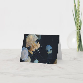 Carte de correspondance pliée