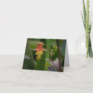 Carte de correspondance pliée Columbine Fine Art P