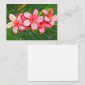 Carte De Correspondance Plumeria (Devant / Derrière)