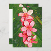 Carte De Correspondance Plumerias (Devant / Derrière)