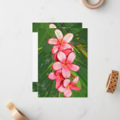 Carte De Correspondance Plumerias (Devant/Arrière en situation)