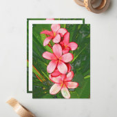 Carte De Correspondance Plumerias rose (Devant/Arrière en situation)