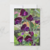 Carte De Correspondance Pois doux (Dos)