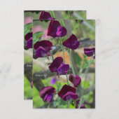 Carte De Correspondance Pois doux (Devant / Derrière)