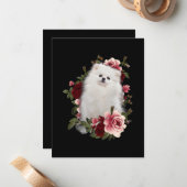 Carte De Correspondance Poméranien avec fleur (Devant/Arrière en situation)