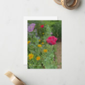 Carte De Correspondance Poppies et Calendulas (Devant/Arrière en situation)