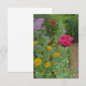 Carte De Correspondance Poppies et Calendulas (Devant / Derrière)