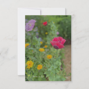 Carte De Correspondance Poppies et Calendulas