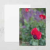 Carte De Correspondance Poppies roses, Jardin pourpre (Devant / Derrière)