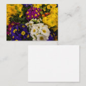 Carte De Correspondance Primrose (Devant / Derrière)