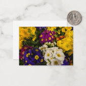 Carte De Correspondance Primrose (Devant/Arrière en situation)