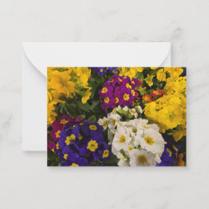 Carte De Correspondance Primrose