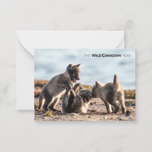 Carte De Correspondance Printemps - Renard arctique (Devant)