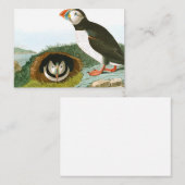 Carte De Correspondance Puffin de John James Audubon (Devant / Derrière)