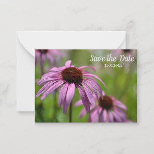Carte De Correspondance Purple Echinacea Cone Flowers Enregistrer la date