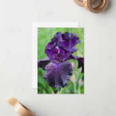 Carte De Correspondance Purple, Iris Humide (Devant/Arrière en situation)