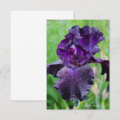 Carte De Correspondance Purple, Iris Humide (Devant / Derrière)