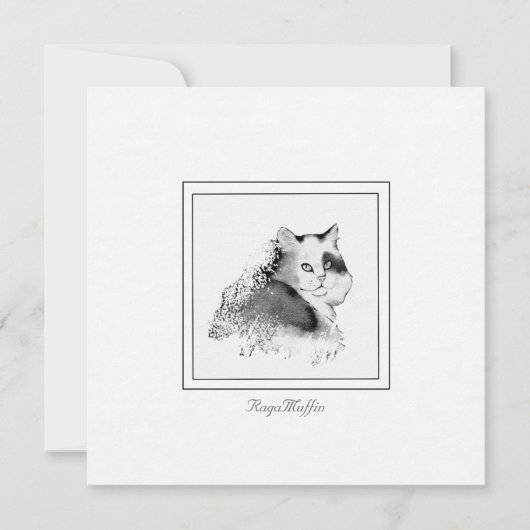 Carte De Correspondance RagaMuffin Chat Charbon esquissé (Devant)