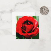 Carte De Correspondance Red Rose Love (Devant/Arrière en situation)