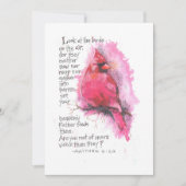 CARTE DE CORRESPONDANCE REGARDEZ LES OISEAUX (Devant)