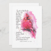 CARTE DE CORRESPONDANCE REGARDEZ LES OISEAUX (Devant / Derrière)