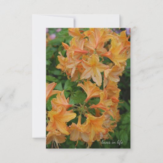 Carte De Correspondance Rhododendron jaune (Devant)