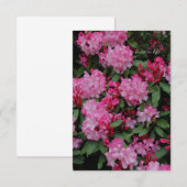 Carte De Correspondance Rhododendron rose (Devant / Derrière)