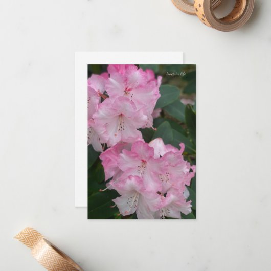 Carte De Correspondance Rhododendron rose clair (Devant/Arrière en situation)