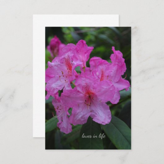 Carte De Correspondance Rododendron violet (Devant / Derrière)