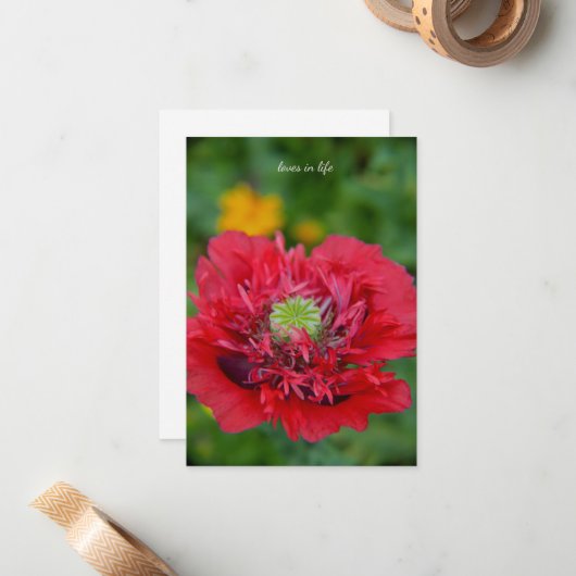 Carte De Correspondance Roffy Rouge (Devant/Arrière en situation)