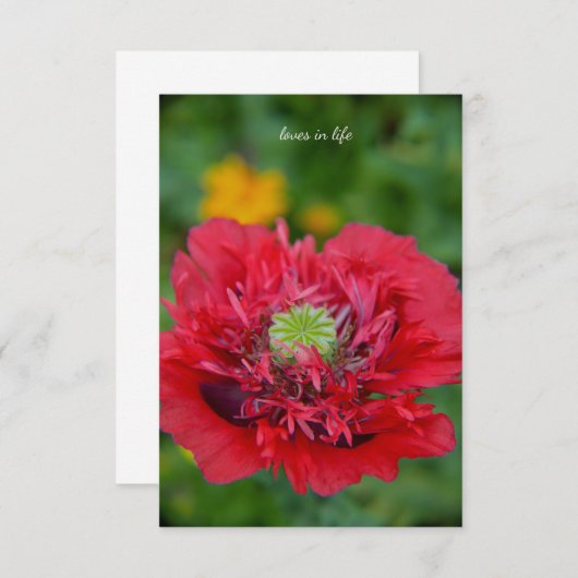 Carte De Correspondance Roffy Rouge (Devant / Derrière)