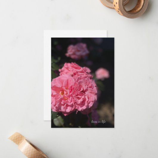 Carte De Correspondance Rose rose complète (Devant/Arrière en situation)