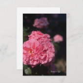 Carte De Correspondance Rose rose complète (Devant / Derrière)