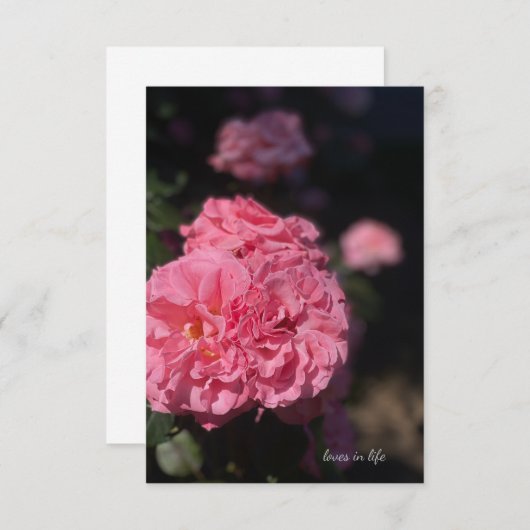 Carte De Correspondance Rose rose complète (Devant / Derrière)