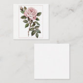 Carte De Correspondance Rose rose élégante en pleine floraison (Devant / Derrière)