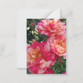 Carte De Correspondance Roses à rayures rose et blanc modifiables (Dos)