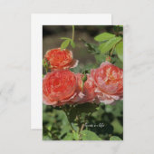 Carte De Correspondance Roses Light Peach (Devant / Derrière)