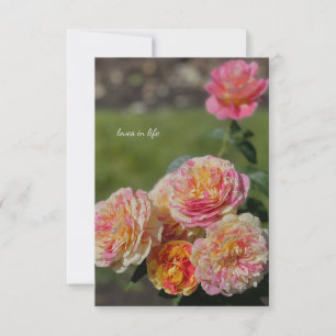 Carte De Correspondance Roses multicolores roses et jaunes