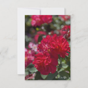 Carte De Correspondance Roses rouges complètes